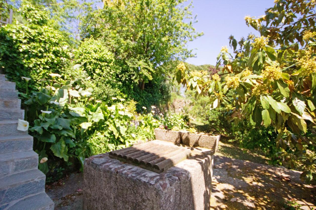 Apartamento Fattorialmare Blu Camogli Exterior foto